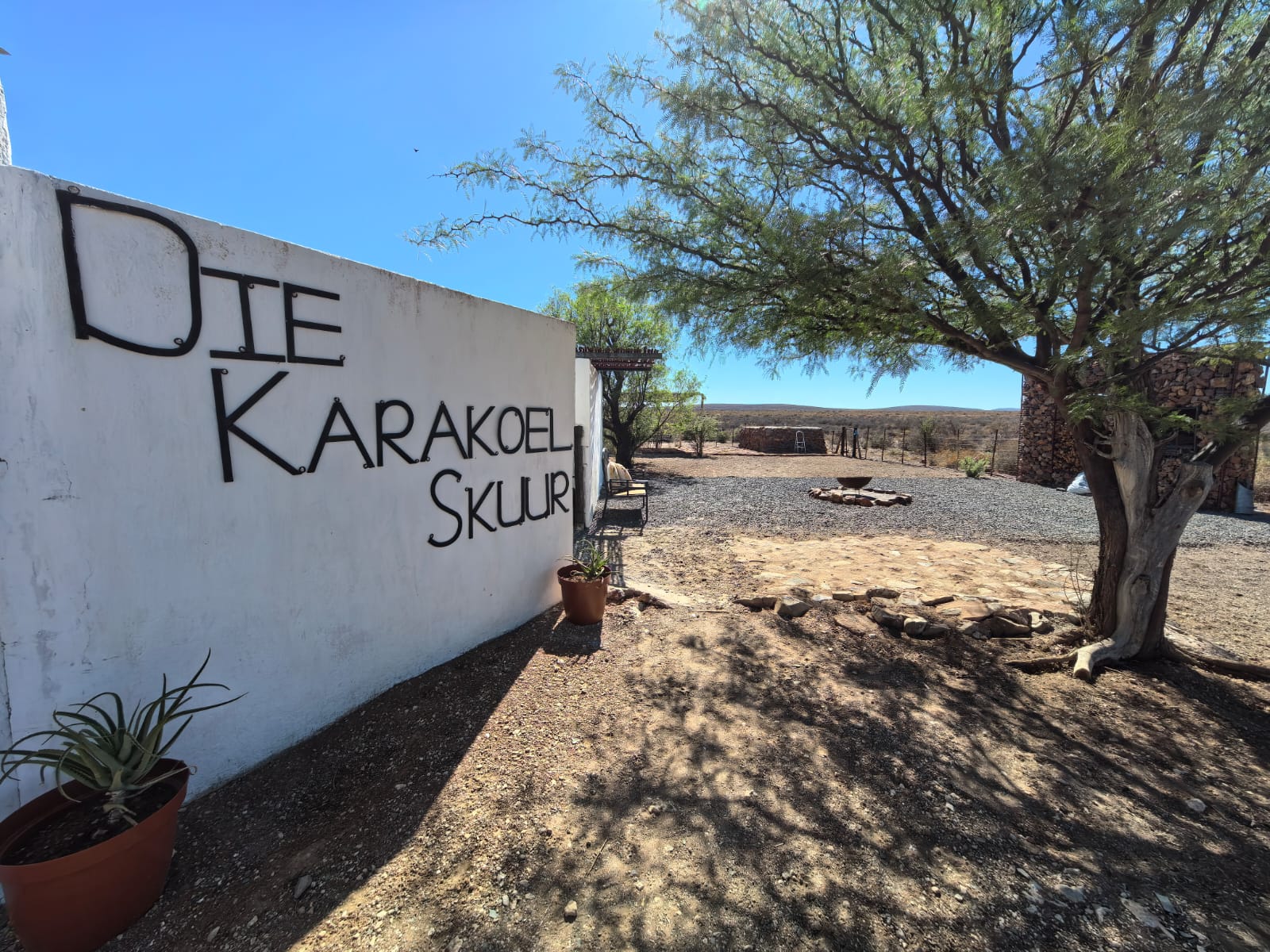 WhatsApp Image 2026-01-21 at 09.04.23